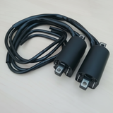 ZŸndspule X2 Yamaha FZS600 FZS 600 Fazer (1998-2003)