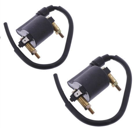 Ignition Coil x2: Kawasaki VN900 VN 900 (2006-2016)