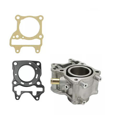 Zylinderlauf: Honda NSS125 NSS 125 (2014-2019)