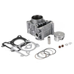 Zylinderlaufsatz: Yamaha VP125 VP 125 (2008-2016)