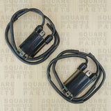 Zündspule x2 Kawasaki GPX600 GPX 600 (1988-1996)