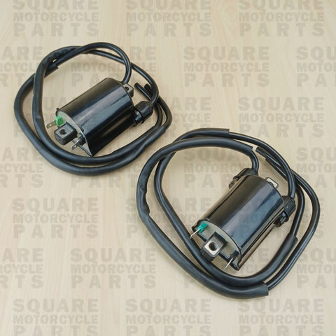 Zündspule x2 Honda XRV750 XRV 750 (1996-2000)