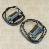 Zündspule x2 Kawasaki GPX600 GPX 600 (1988-1996)